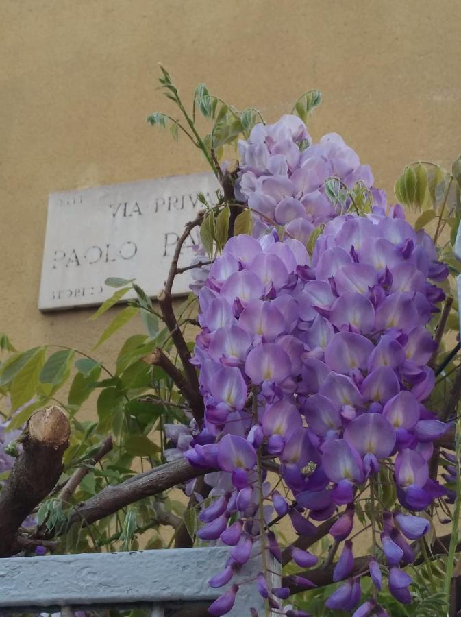 Appartamento Amami Milano Esterno foto