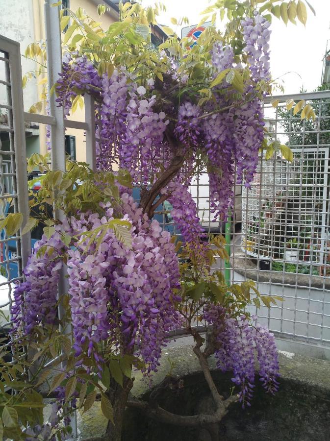 Appartamento Amami Milano Esterno foto
